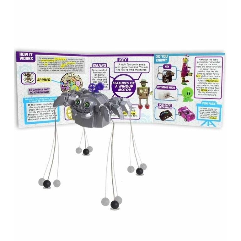 STEM Projects Jumping Spider
