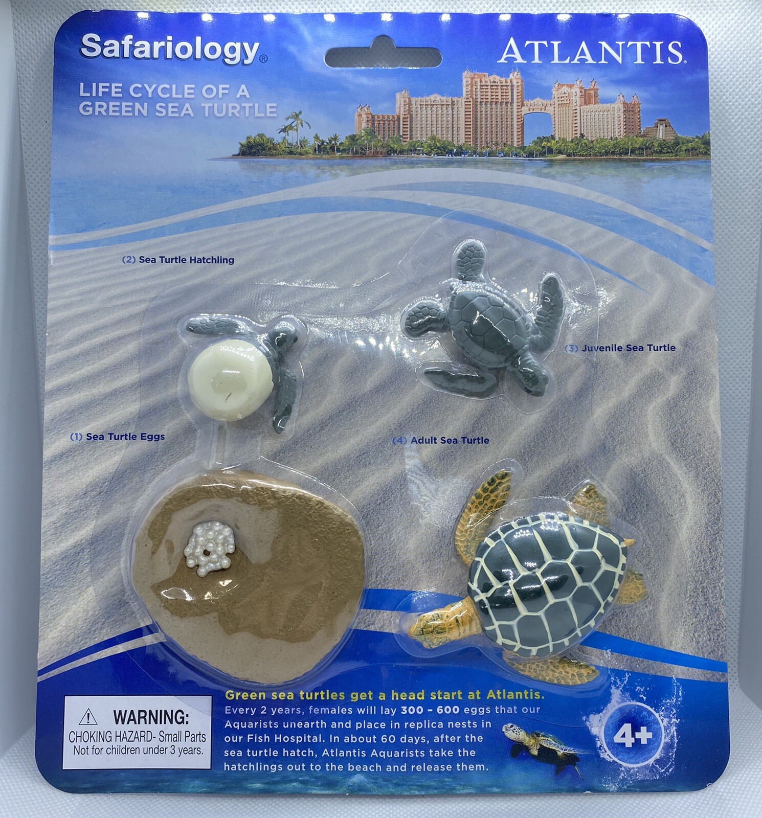 Life Cycle Of A Green Sea Turtle Safari Ltd NEW Toys Educational Figurines Kids