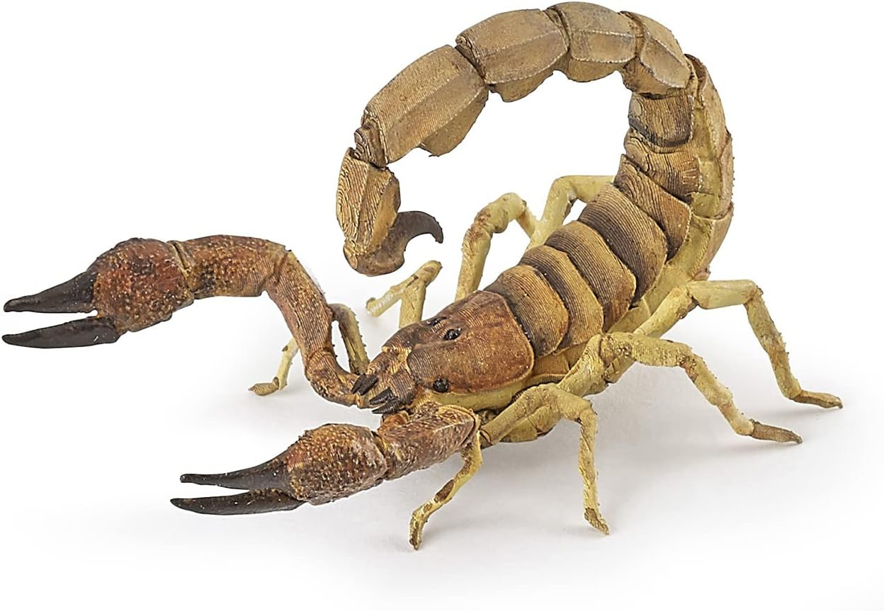 – Scorpion Figurine – Desert Animal Toy for Kids Age 3+ – 11 Cm Plastic Model wi