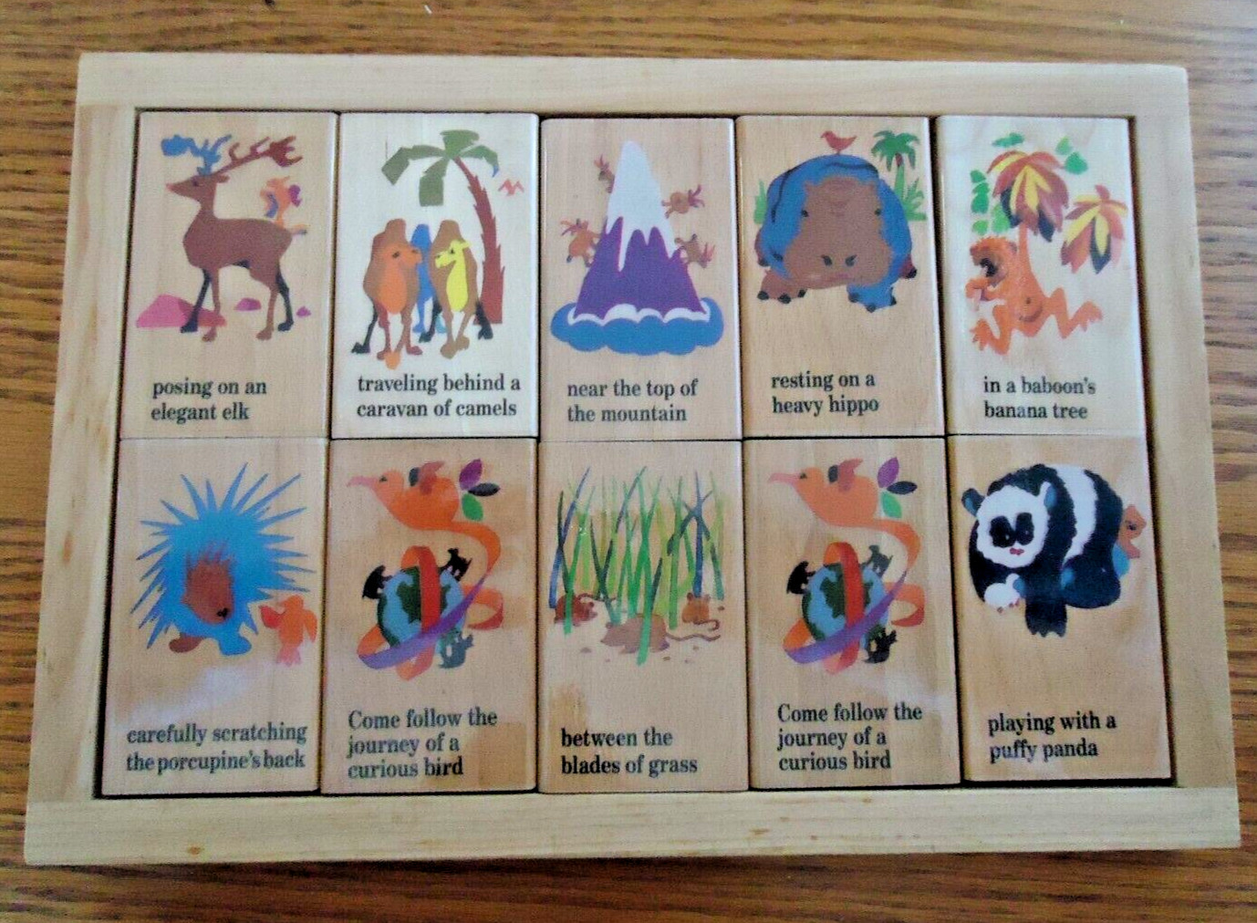Wooden Children’s Story Building Blocks & Storage EC