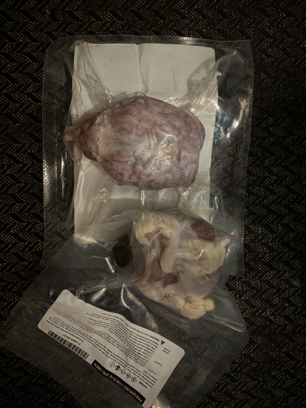 Science Interactive Anatomy & Physiology Lab Kit
