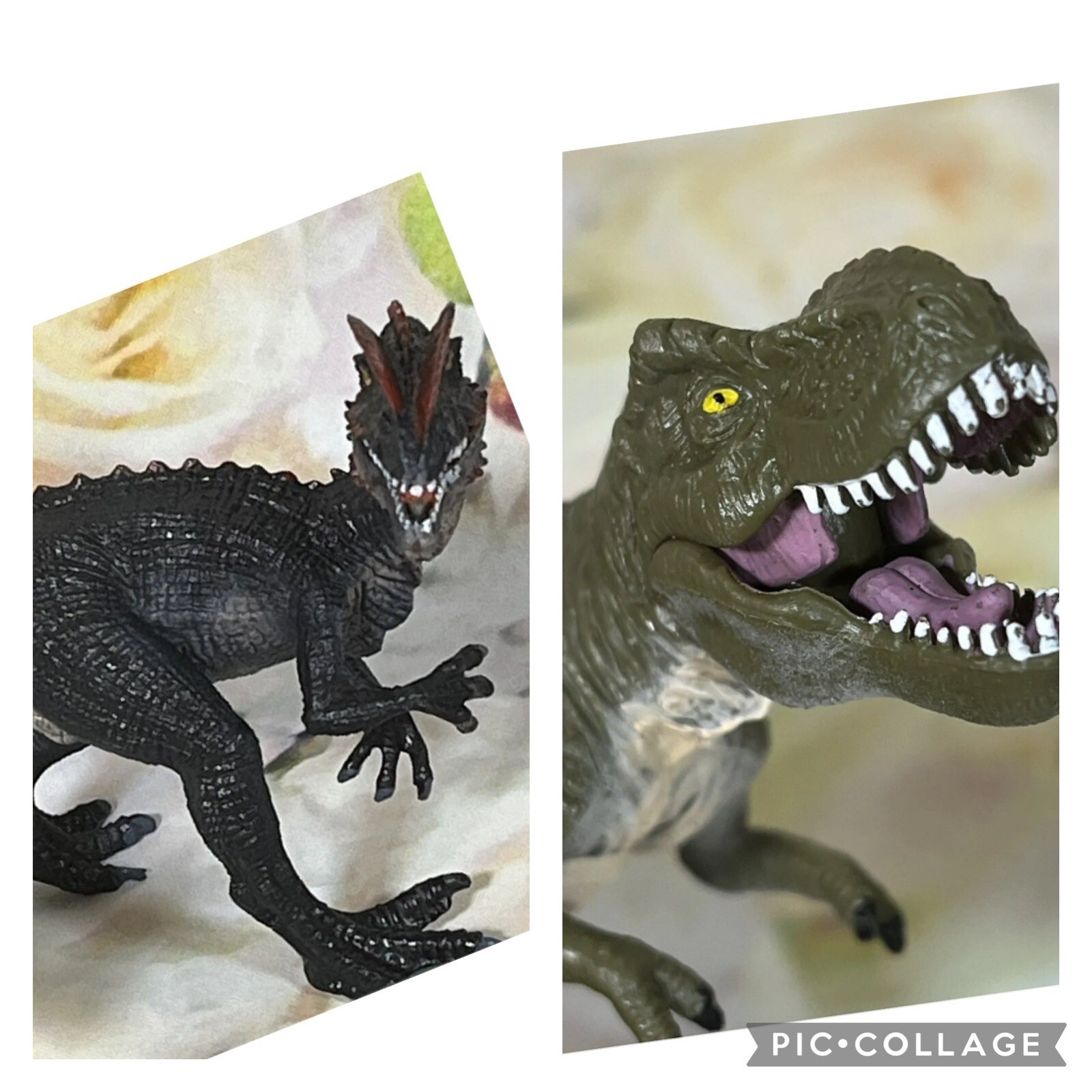 Dinosaurs Toys Tyrannosaurus Rex Standing & Dilophosaurus 2017 Articulated Jaws