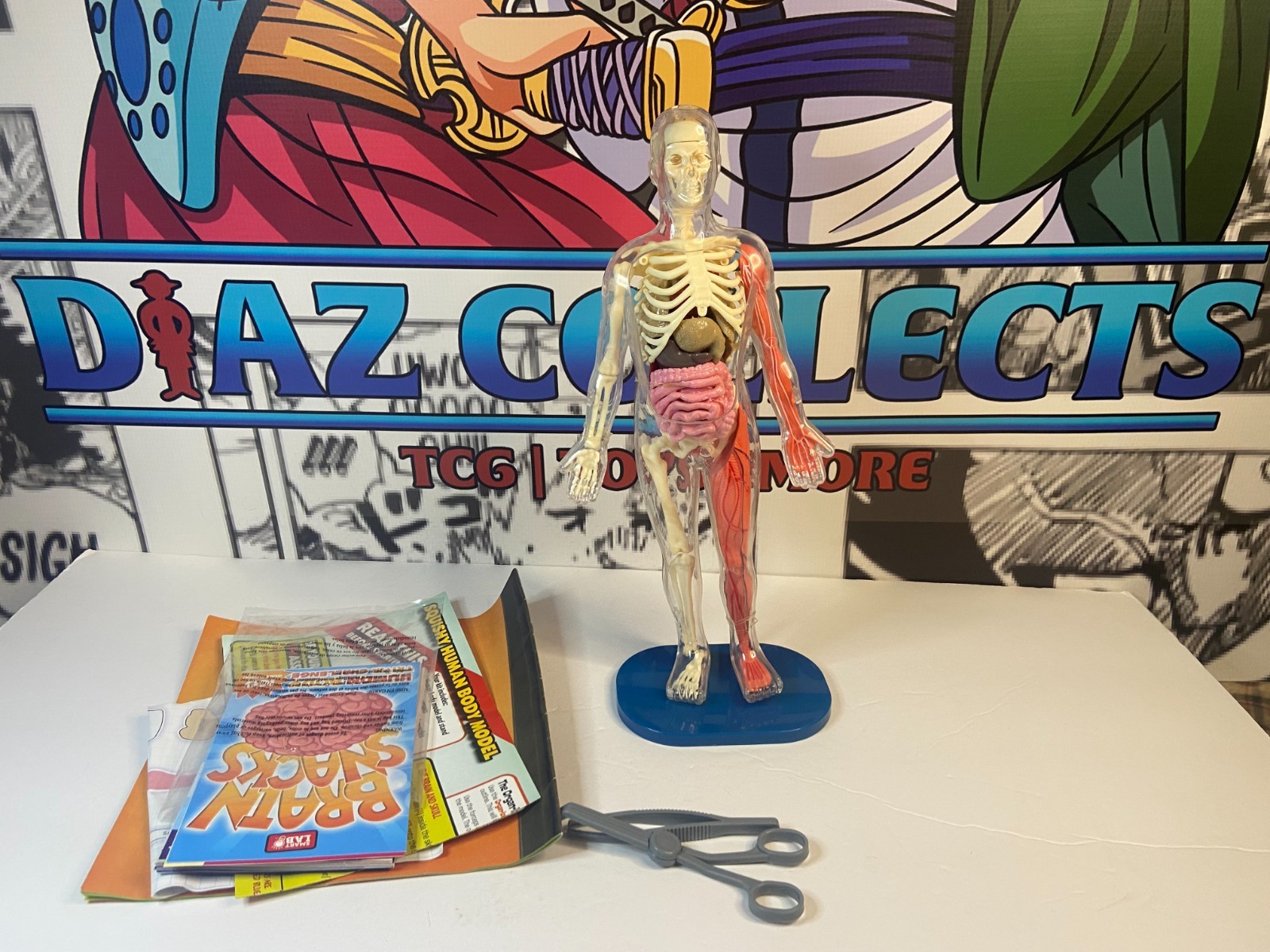 For Parts Or Pieces – Smart Lab Squishy Human Body – Incomplete?